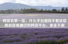 网贷名单一览，什么平台借钱不看征信而且容易通过的网贷平台，拿走不谢