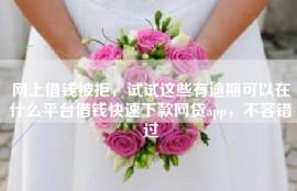 网上借钱被拒，试试这些有逾期可以在什么平台借钱快速下款网贷app，不容错过