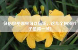 征信很差哪里可以借钱，这几个网贷口子值得一试！