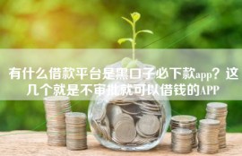 有什么借款平台是黑口子必下款app？这几个就是不审批就可以借钱的APP