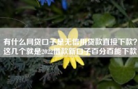 有什么网贷口子是无信用贷款直接下款？这几个就是2022借款新口子百分百能下款