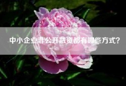 中小企业非公开融资都有哪些方式？