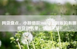 网贷盘点，小额借款3000马上到账的有哪些贷款名单，值得关注！