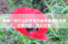 整理一份什么软件借钱最快通过利息低小额贷款，简云分享！