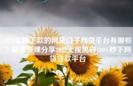 2022年好下款的网贷口子网贷平台有哪些？精选整理分享2022无视黑白100%秒下网贷贷款平台