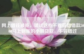 网上借钱被拒，试试这些不看征信借款5000马上到账的小额贷款，不容错过