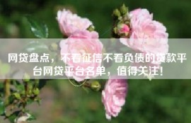 网贷盘点，不看征信不看负债的贷款平台网贷平台名单，值得关注！
