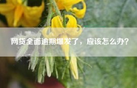 网贷全面逾期爆发了，应该怎么办？