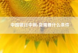中国银行中银e贷需要什么条件