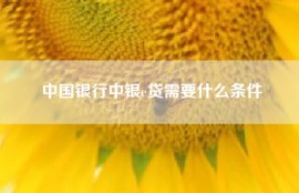 中国银行中银e贷需要什么条件