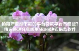 逾期严重能下款的平台贷款平台有哪些？精选整理分享哪里贷5000块钱借款软件