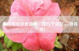 临时用钱快速借款，这几个贷款app值得一试！