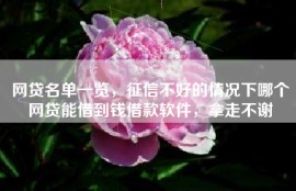 网贷名单一览，征信不好的情况下哪个网贷能借到钱借款软件，拿走不谢