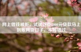 网上借钱被拒，试试这些2000元贷款马上到账网贷口子，不容错过