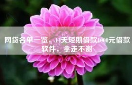网贷名单一览，14天短期借款1000元借款软件，拿走不谢