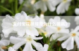 支付宝花呗额度为什么很高？