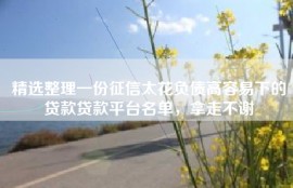 精选整理一份征信太花负债高容易下的贷款贷款平台名单，拿走不谢