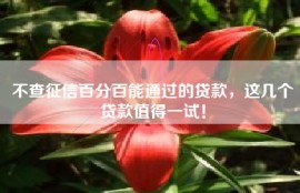 不查征信百分百能通过的贷款，这几个贷款值得一试！