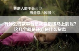 有什么借款平台是我要借钱马上到账？这几个就是还到是什么贷款