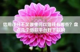 信用评分不足哪里可以借钱有哪些？盘点几个借款平台好下款的