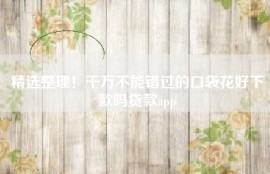 精选整理！千万不能错过的口袋花好下款吗贷款app