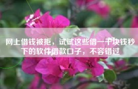 网上借钱被拒，试试这些借一千块钱秒下的软件借款口子，不容错过