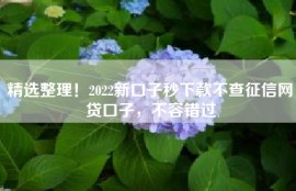 精选整理！2022新口子秒下款不查征信网贷口子，不容错过