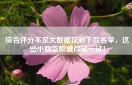 综合评分不足大数据花必下款名单，这些小额贷款值得试一试！