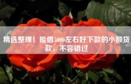 精选整理！能借5000左右好下款的小额贷款，不容错过