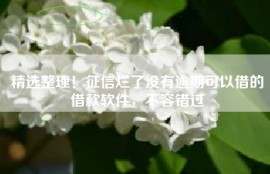 精选整理！征信烂了没有逾期可以借的借款软件，不容错过