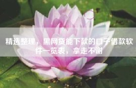 精选整理，黑网贷能下款的口子借款软件一览表，拿走不谢