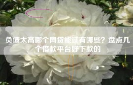 负债太高哪个网贷能过有哪些？盘点几个借款平台好下款的