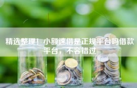 精选整理！小额速借是正规平台吗借款平台，不容错过