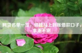 网贷名单一览，借钱马上到账借款口子，拿走不谢