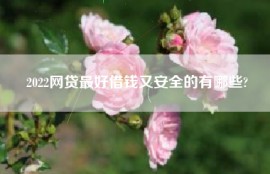 2022网贷最好借钱又安全的有哪些?