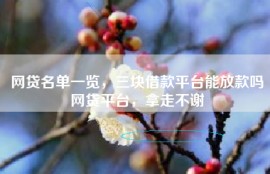 网贷名单一览，三块借款平台能放款吗网贷平台，拿走不谢