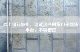 网上借钱被拒，试试这些网贷口子网贷平台，不容错过
