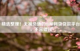 精选整理！无视负债的20种网贷贷款平台，不容错过