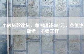 小额贷款速贷，急需借钱3000元，负债也能借，不看工作