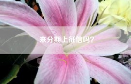 来分期上征信吗？