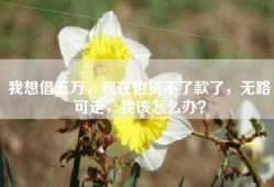 我想借五万，现在也贷不了款了，无路可走，我该怎么办？