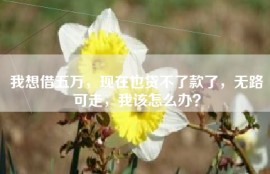 我想借五万，现在也贷不了款了，无路可走，我该怎么办？