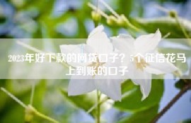 2023年好下款的网贷口子？5个征信花马上到账的口子