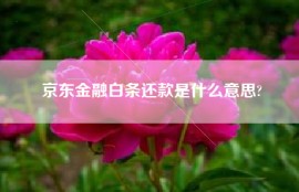 京东金融白条还款是什么意思?