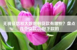 无视征信和大数据的贷款有哪些？盘点几个贷款app好下款的