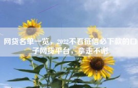 网贷名单一览，2022不看征信必下款的口子网贷平台，拿走不谢
