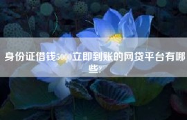 身份证借钱5000立即到账的网贷平台有哪些?