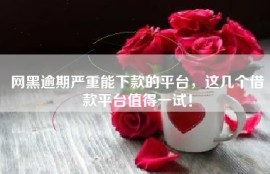 网黑逾期严重能下款的平台，这几个借款平台值得一试！