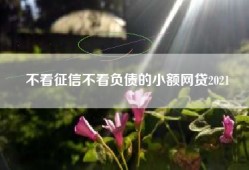 不看征信不看负债的小额网贷2021