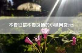 不看征信不看负债的小额网贷2021